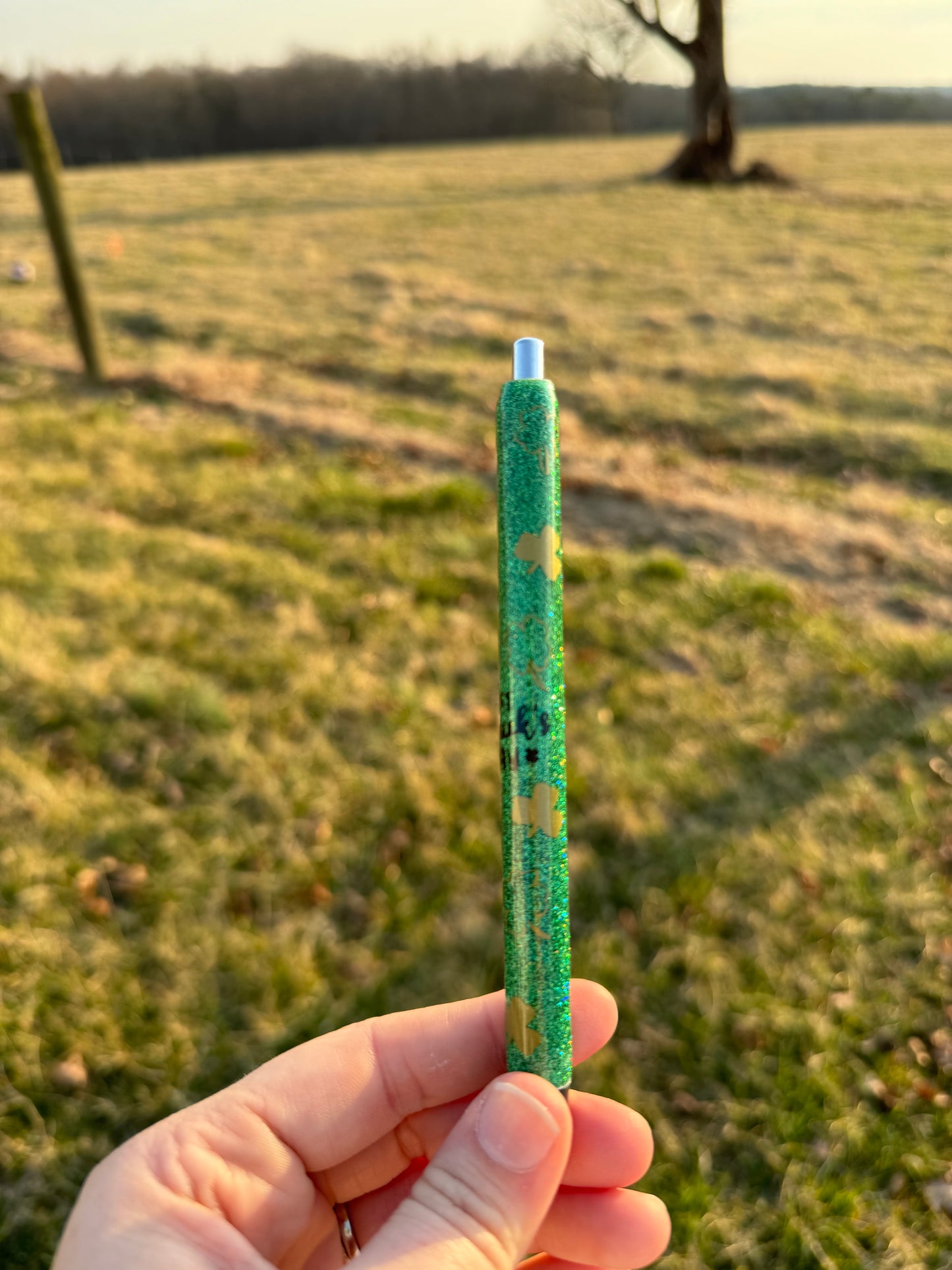 St Pattys Pen