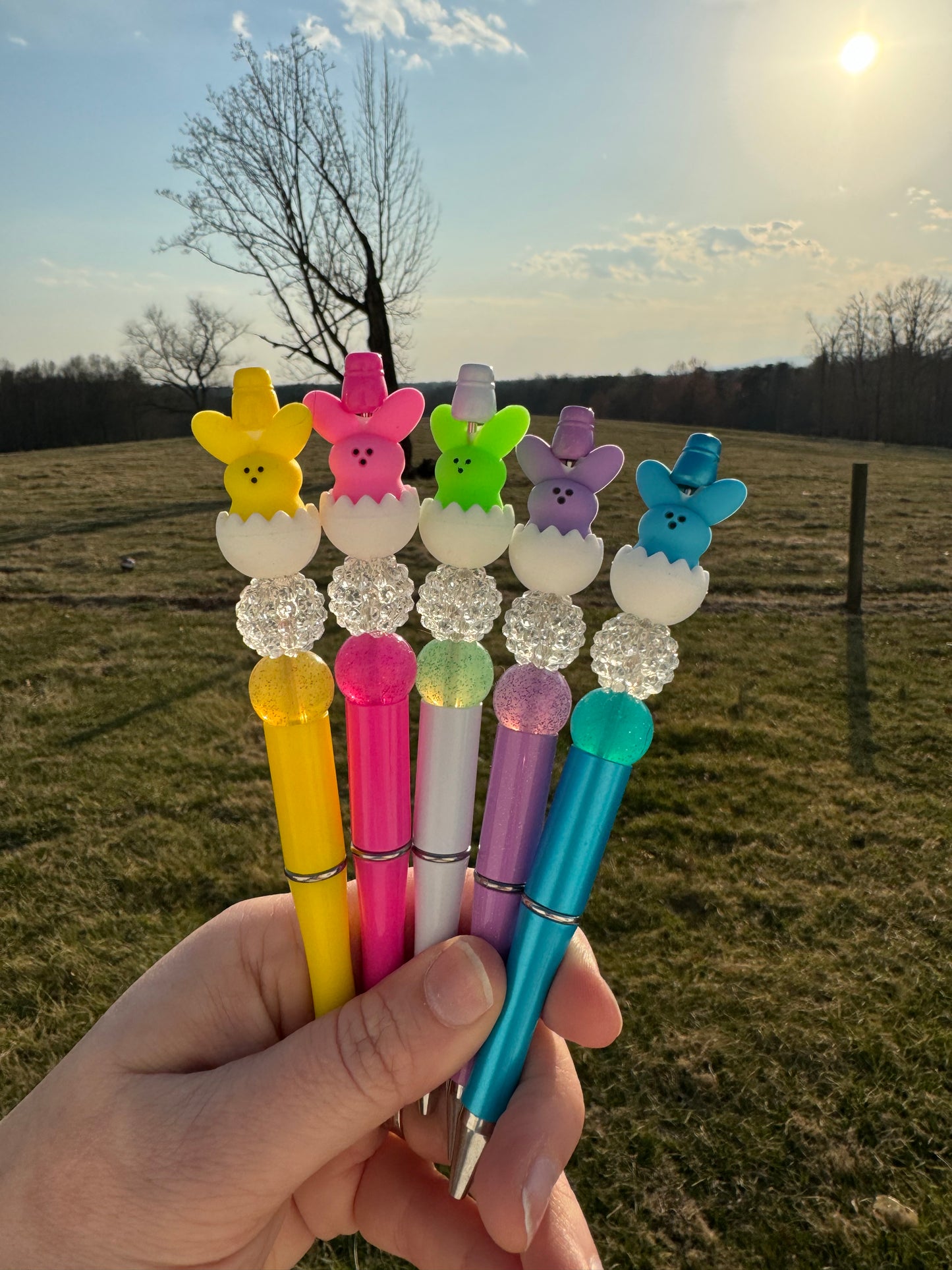 Easter Bunny Pens