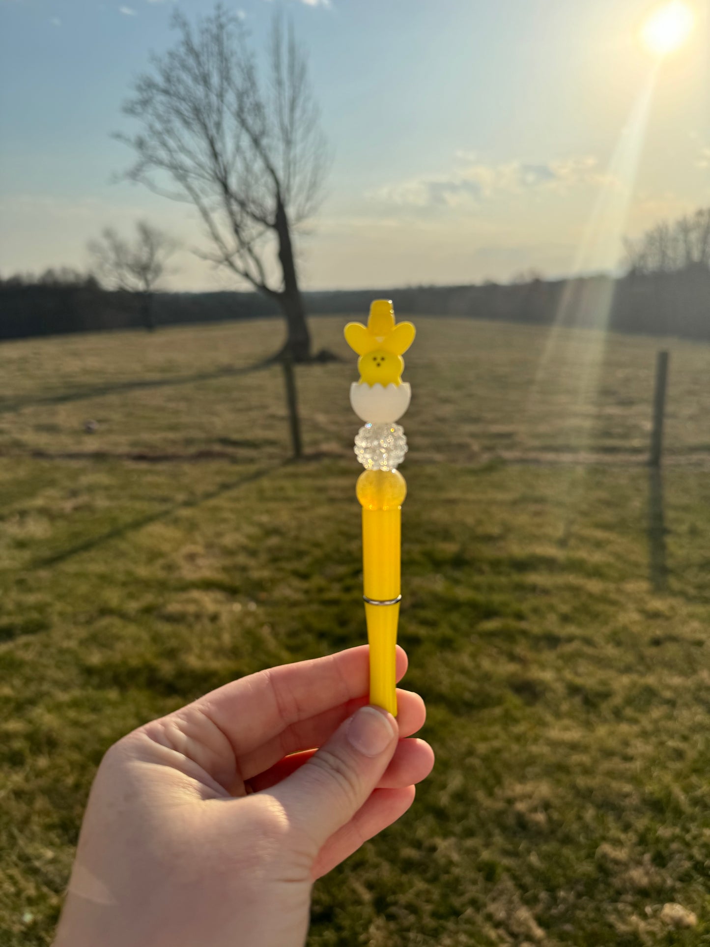 Easter Bunny Pens