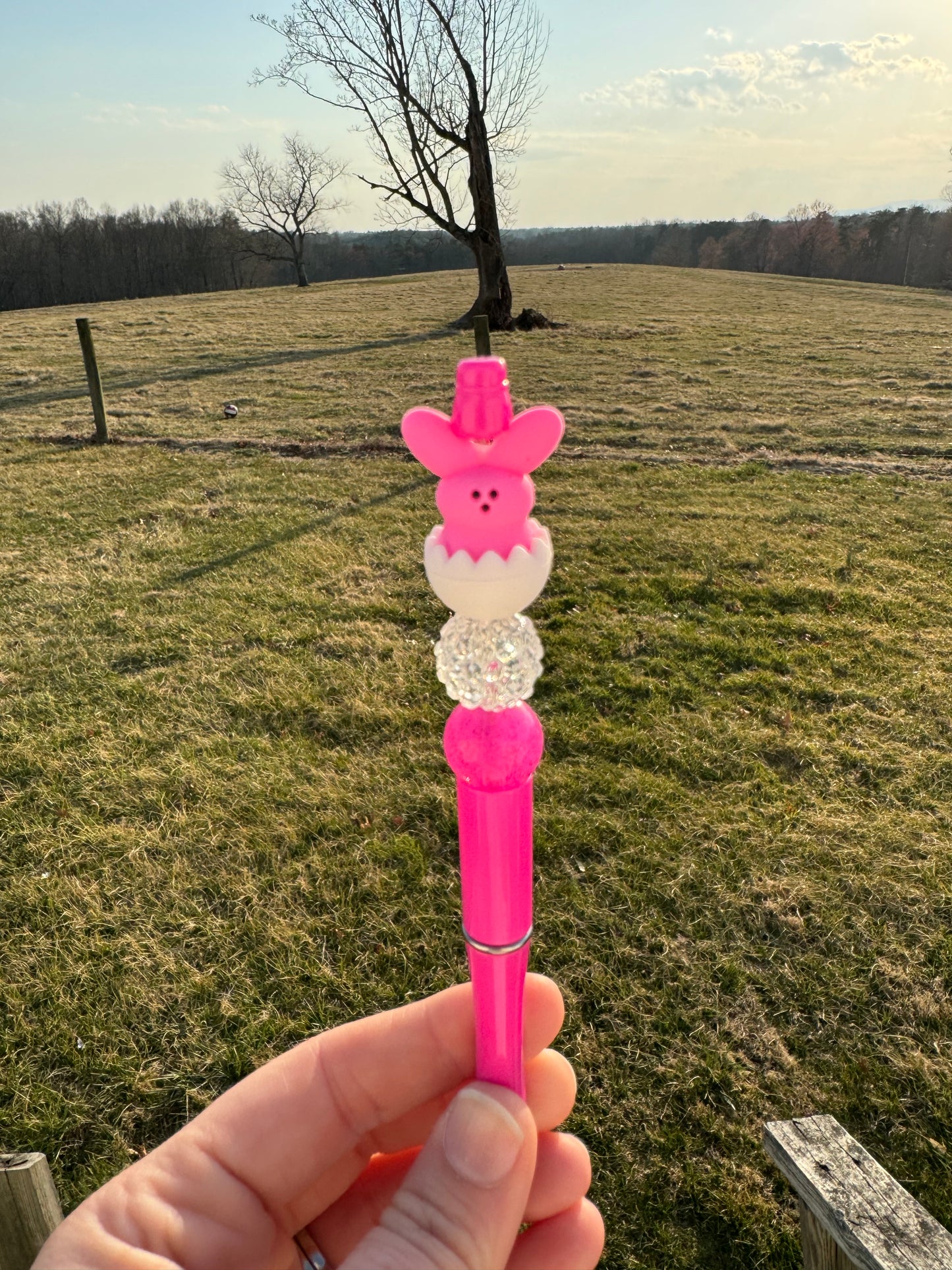 Easter Bunny Pens